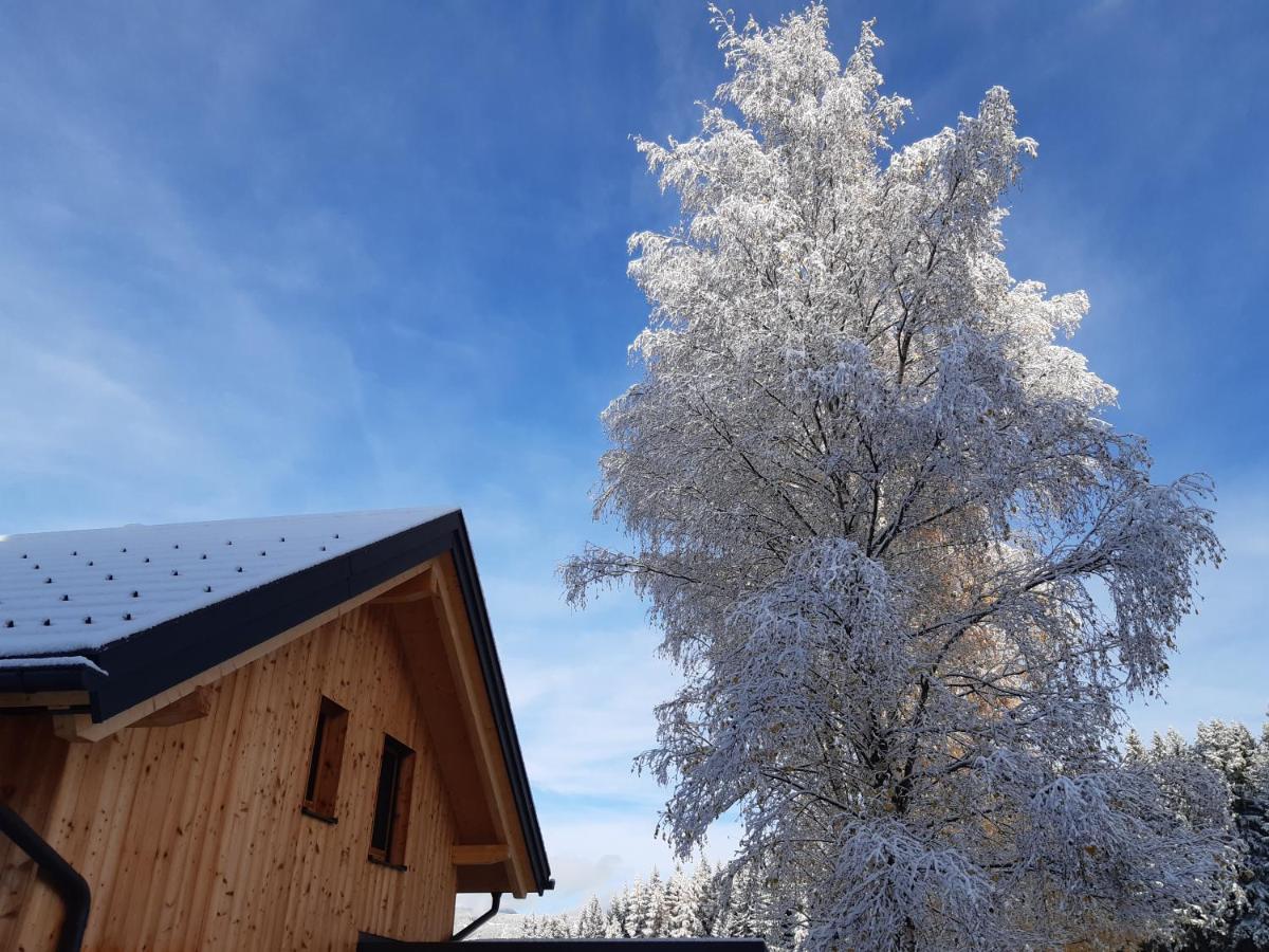 Apartamento Auszeit Almhaus Schmalzbauer Sankt Andrä Exterior foto